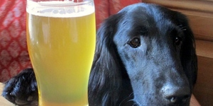 The Best Dog-Friendly Pubs In London