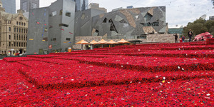 300,000 Poppies Coming To Chelsea Flower Show