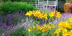 Things To Do In London: Thursday 7 April 2016