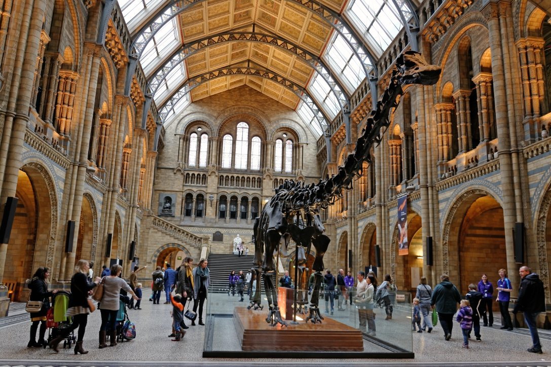 Where Is Dippy The Dinosaur Now?