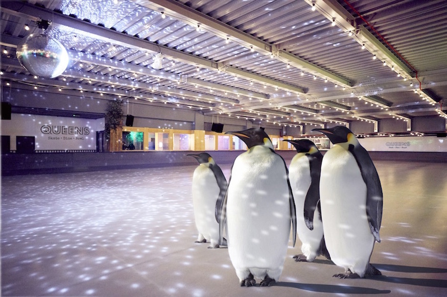 Go Ice Skating With Real Penguins On Penguin Awareness Day