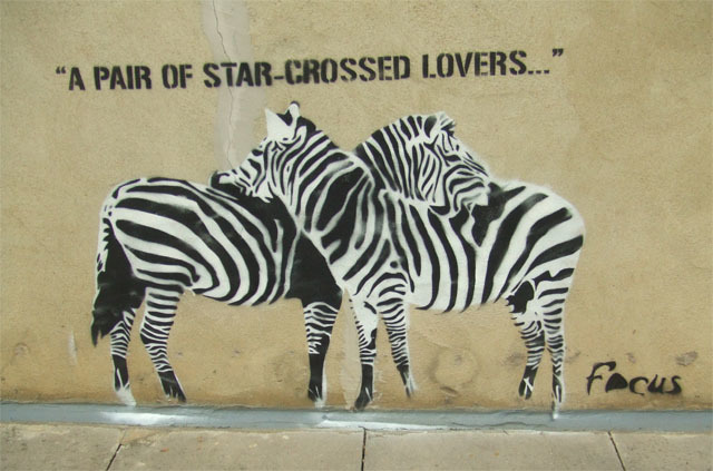 zebrasinlove.jpg