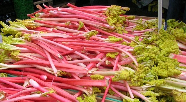 Rhubarb.jpg