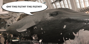 Herculean Labour #161: Scrub Down These Whales!