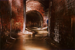 Sewer