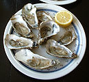 Plate of oysters