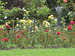 1309.flower.jpg