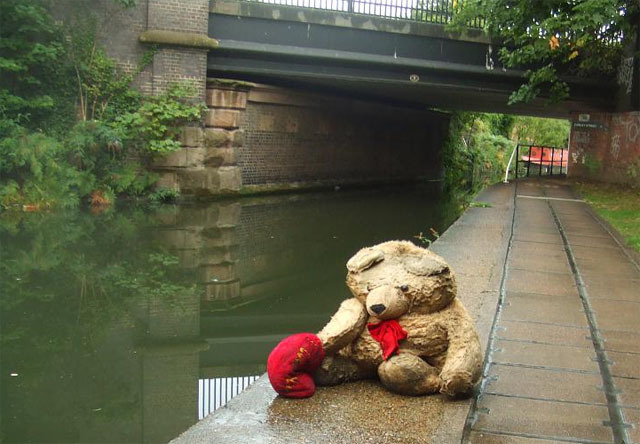 Canalbear.jpg