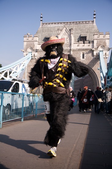 10311_gorilla_10.jpg