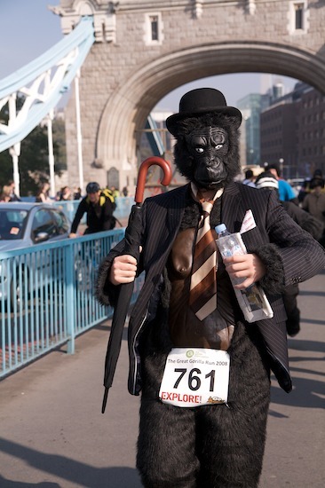 10311_gorilla_12.jpg