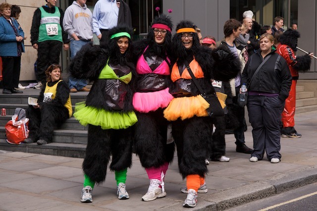 10311_gorilla_2.jpg