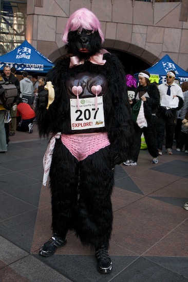 10311_gorilla_5.jpg