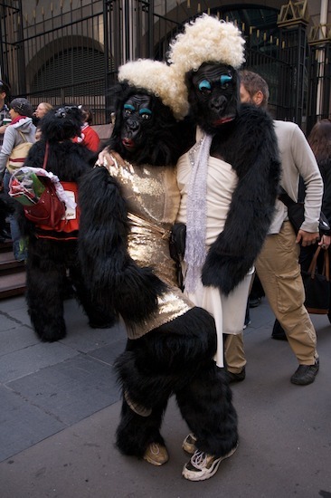 10311_gorilla_7.jpg