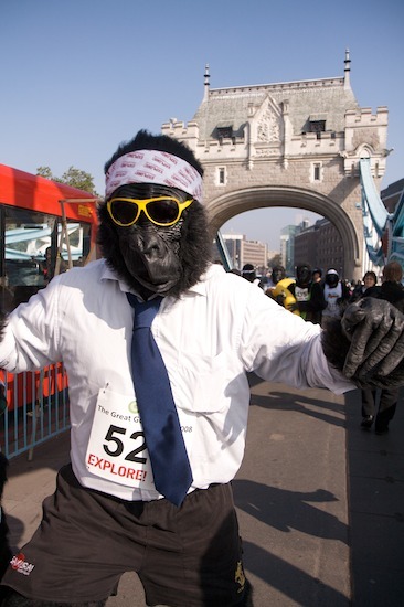 10311_gorilla_9.jpg