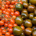2710_fruit.jpg