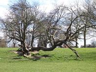 2511.park.jpg