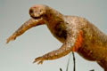Proavis_Wax_Model_04.jpg
