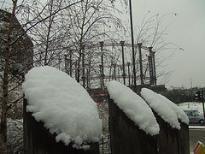 0312.snow.jpg