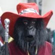 0312_gorilla.jpg