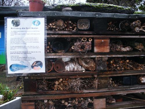 11037_dscf1210.jpg