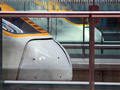 eurostarnoses.jpg