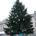 XmasTree_sqaure_1Jan09.jpg