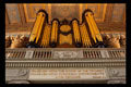 Organ_sml2302.jpg