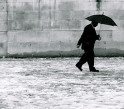 2603_umbrella.jpg