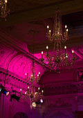 bushhallpurple.jpg