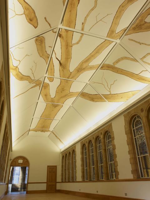 The finished artwork in situ. © Natural History Museum