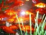 0204.seez.jpg
