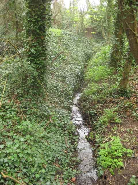 Towards Enfield, we found the old course of the New River (the man-made watercourse that brought fresh water to London from 1613). The river was diverted in Victorian times. 