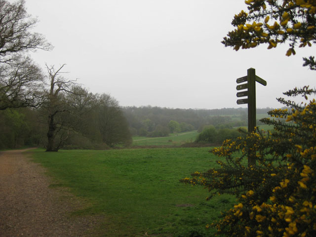 A pleasing chain of low hills provides many impressive views in these parts. Shame the weather wasn't really cooperating. 