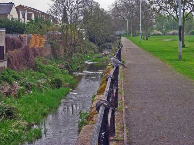 The Salmon Brook forms a pronounced valley through Enfield Chase. Salmon not pictured. 