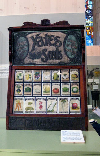Seeds on sale 