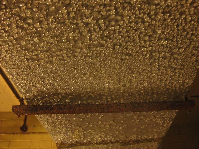 The upper floor of the bunker is soaked in condensation and ground water. 