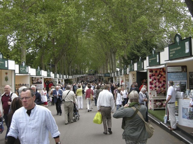 The main promenade 