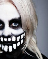 fever ray