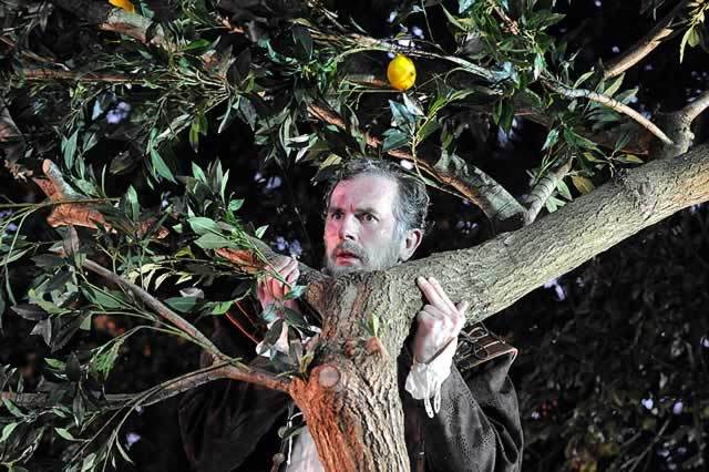 Sean Campion (Benedick) also uses the trees on set for laughs Photo by Alistair Muir