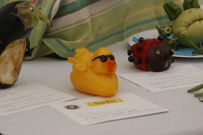 Duck by Zaspic