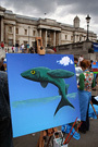 1408_fish.jpg