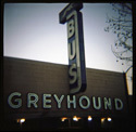 1908_greyhound.jpg