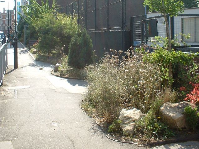 13818_featherstonestreet.jpg
