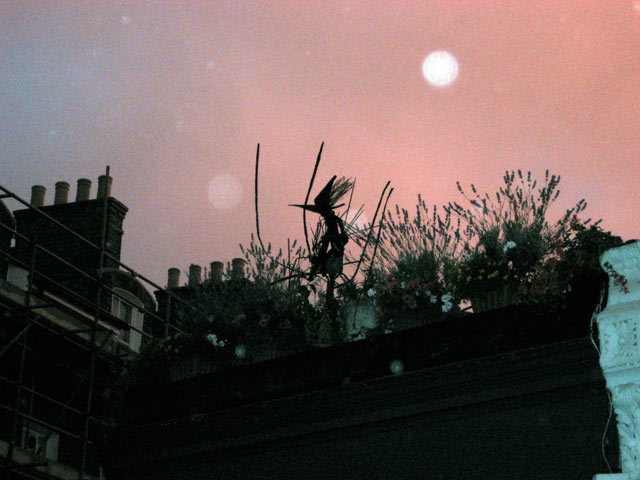 The Camber Witch 