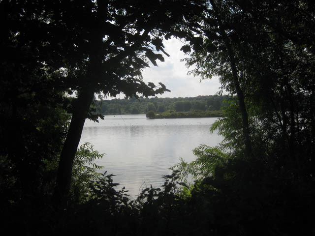 Another shot of one of the many man made lakes in this area. 