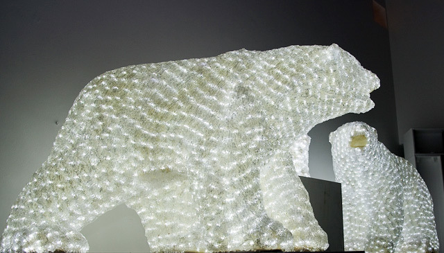 14378_twestival_polarbears.jpg