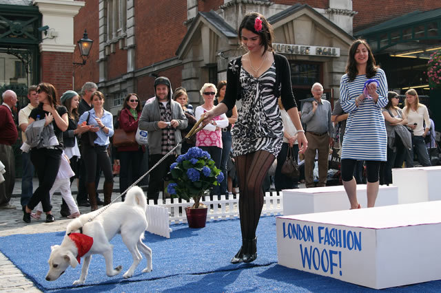 14498_cvff-10.jpg