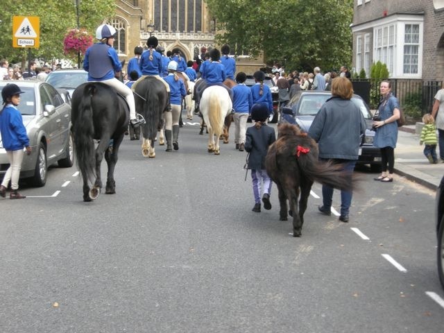 14520_goponiesgo.jpg