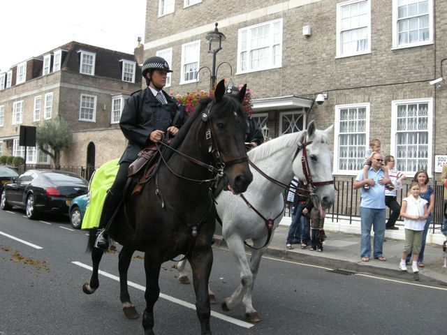 14520_police.jpg