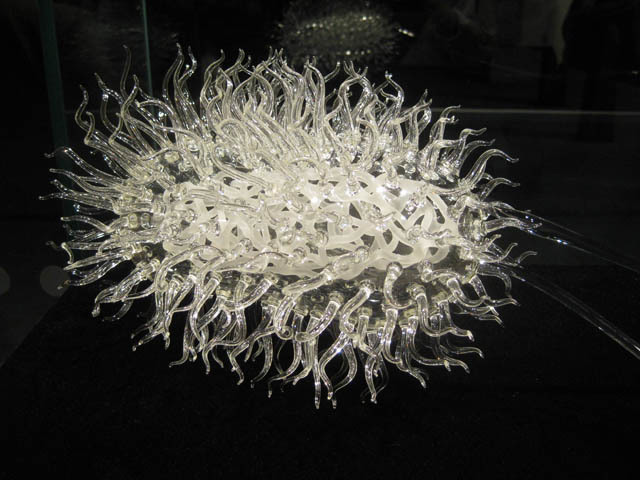 A rogue bacterium in a hall of viruses. 